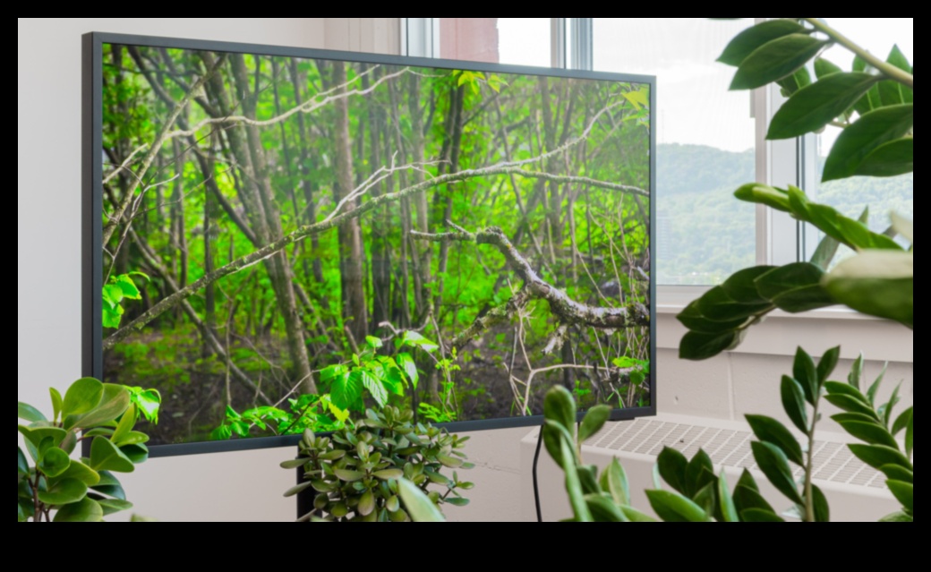 أجهزة تلفزيون العلاج البصري التي تجلب الأجواء الخارجية الرائعة في 4 العلاج البصري: أجهزة تلفزيون ذات مشاهد محيطة مريحة وعروض طبيعية