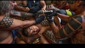 المؤشرات المقدسة: فن الجسد الرمزي البصري 2 العلامات المقدسة: سجلات وضعت مع فن الجسم الرمزي