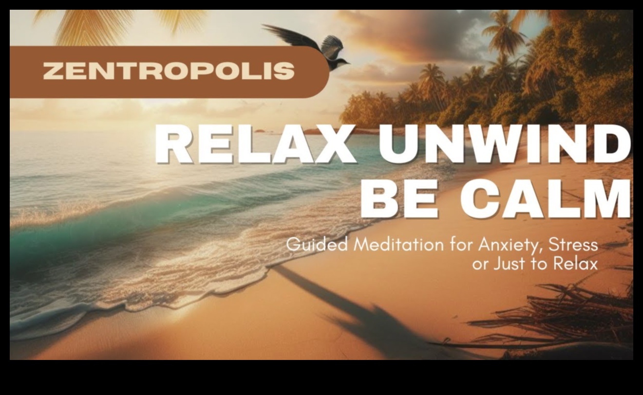 روايات هادئة: تراجع التأمل الموجه للعقل