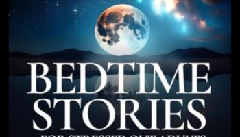 روايات هادئة: تراجع التأمل الموجه للعقل