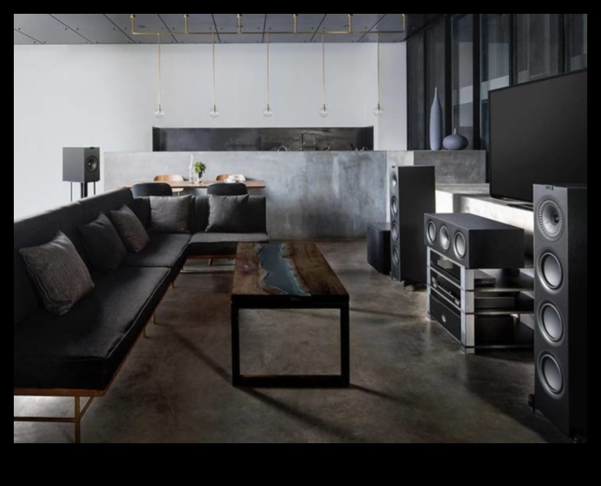 السيادة البصرية: الإلكترونيات المتطورة لتجربة الفيديو النهائية