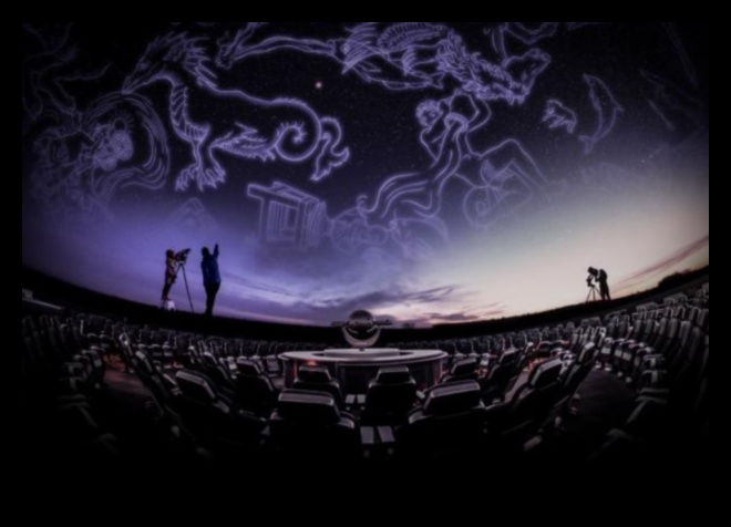 السجلات السماوية: رحلة مليئة بالنجوم عبر عالم النجوم الساحر 2 السجلات السماوية: قصص من عالم النجوم الساحر