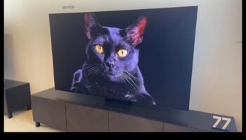 ما وراء الشاشة: أجهزة التلفاز كمراكز معلومات مع تحديثات الأخبار والطقس