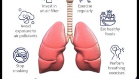 تنفس بشكل أعظم، عش بشكل أعظم: 5 تمارين رياضية أساسية لإجراء تحسينات على صحة رئتك 5 تنفس بشكل أفضل، وعيش بشكل أفضل: إطلاق العنان للتمارين الأساسية