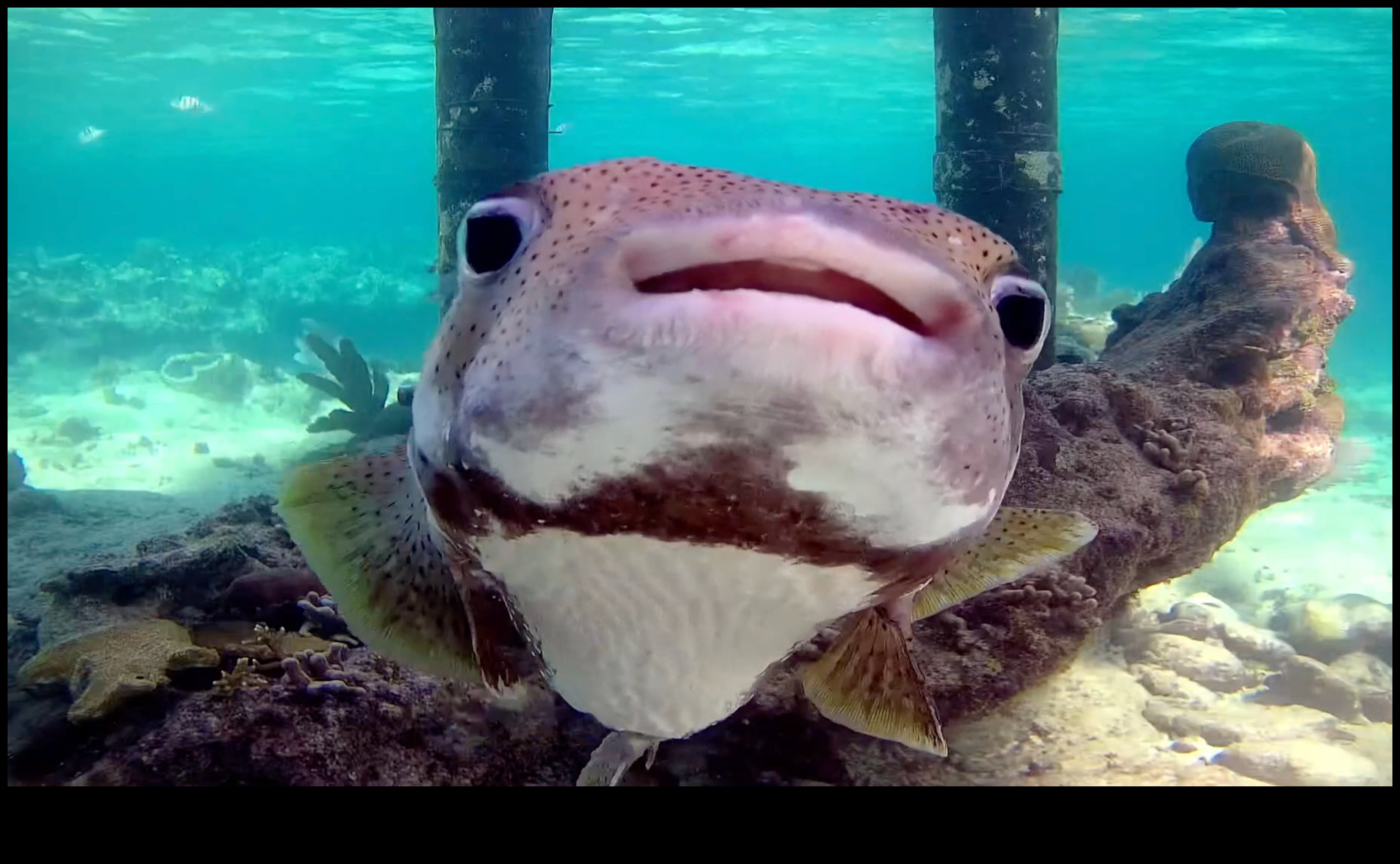 استكشف المدينة الفاضلة تحت الماء باستخدام الكاميرات 4 المدينة الفاضلة تحت الماء: كاميرات لالتقاط أعماق البحر