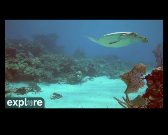 استكشف المدينة الفاضلة تحت الماء باستخدام الكاميرات 3 المدينة الفاضلة تحت الماء: كاميرات لالتقاط أعماق البحر