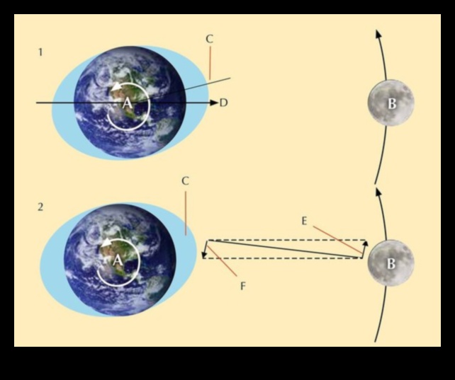 الجاذبية القمرية: رفيق الأرض في شد الحبل الكوني