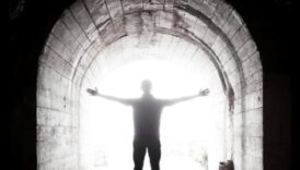 المسار الواعي: العثور على الصفاء في كل خطوة