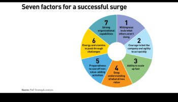 الطفرة الاستراتيجية: ديناميكيات تطوير الأعمال الناجحة