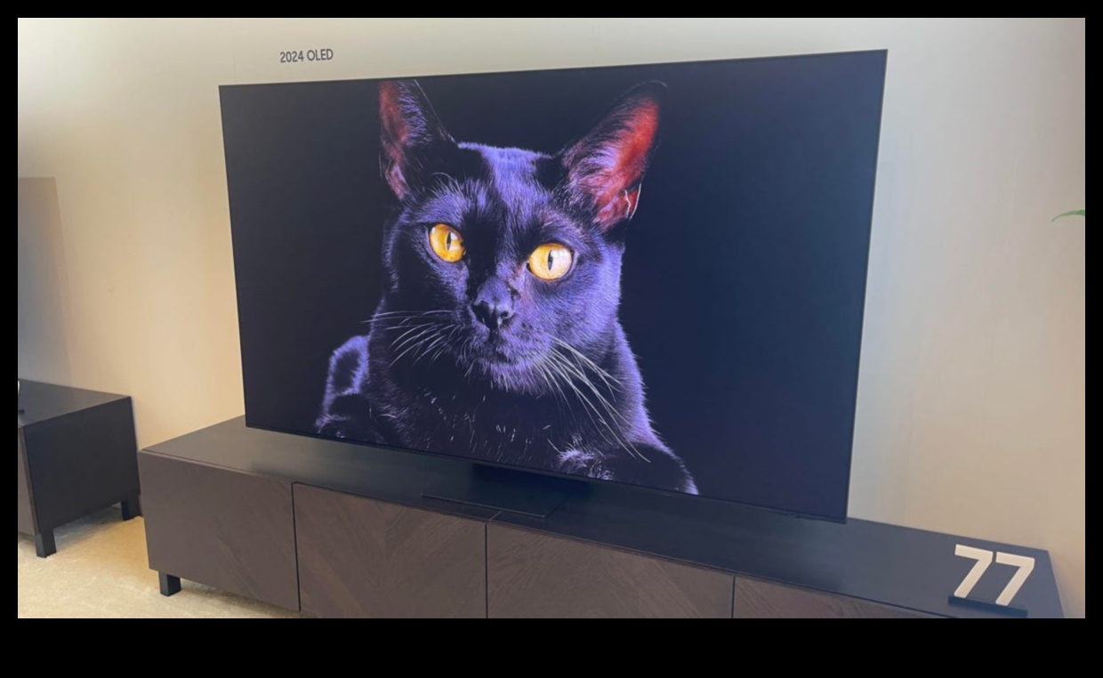 ما وراء شاشات التلفاز تصبح مراكز للأخبار وتحديثات الطقس 1 ما وراء الشاشة: أجهزة التلفاز كمراكز معلومات مع تحديثات الأخبار والطقس